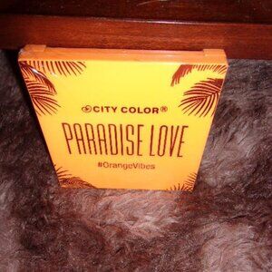New Paradise Love Orange Vibes City Color Eye Shadow Palette